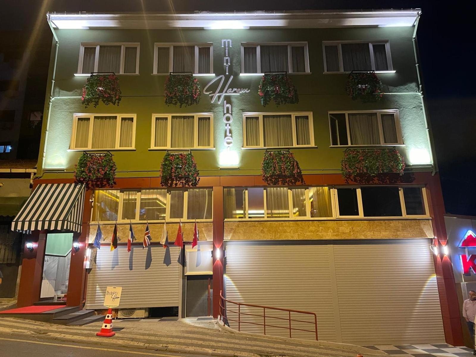 迷你哈勒姆酒店 伊斯坦布尔 外观 照片